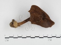 登錄號:F0024165藏品圖，第1張