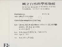 登錄號:F0024166藏品圖，第2張