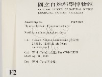 登錄號:F0024167藏品圖，第2張