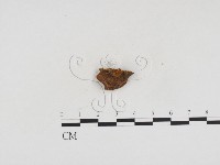 登錄號:F0024167藏品圖，第3張