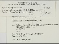 登錄號:F0024168藏品圖，第2張