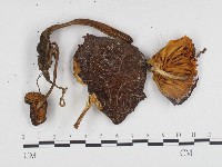 登錄號:F0024168藏品圖，第3張