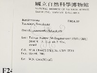 登錄號:F0024169藏品圖，第2張