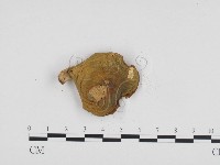 登錄號:F0024169藏品圖，第3張