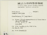 登錄號:F0024170藏品圖，第2張