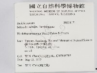 登錄號:F0024171藏品圖，第2張
