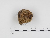登錄號:F0024171藏品圖，第1張