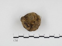 登錄號:F0024171藏品圖，第3張