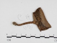 登錄號:F0024172藏品圖，第3張
