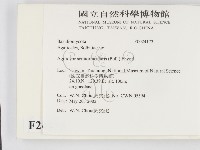 登錄號:F0024173藏品圖，第2張