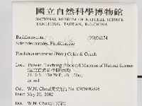 登錄號:F0024174藏品圖，第2張