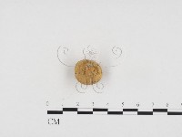 登錄號:F0024175藏品圖，第1張