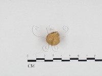 登錄號:F0024175藏品圖，第3張