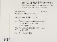 登錄號:F0024176藏品圖，第2張