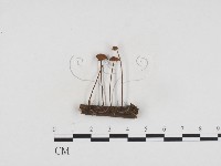 登錄號:F0024176藏品圖，第1張