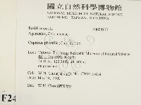 登錄號:F0024177藏品圖，第2張