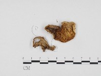 登錄號:F0024178藏品圖，第3張