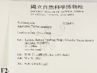 登錄號:F0024179藏品圖，第2張