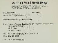 登錄號:F0024180藏品圖，第2張