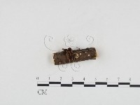 登錄號:F0024180藏品圖，第1張