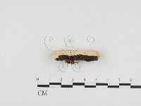 登錄號:F0024180藏品圖，第3張