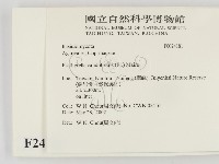 登錄號:F0024181藏品圖，第2張