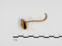 登錄號:F0024181藏品圖，第3張