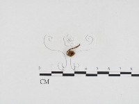 登錄號:F0024183藏品圖，第3張