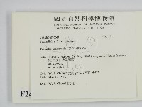 登錄號:F0024184藏品圖，第2張