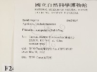 登錄號:F0024185藏品圖，第2張