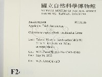 登錄號:F0024186藏品圖，第2張