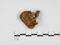 登錄號:F0024187藏品圖，第1張