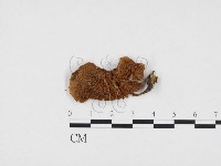 登錄號:F0024188藏品圖，第1張