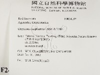 登錄號:F0024189藏品圖，第2張