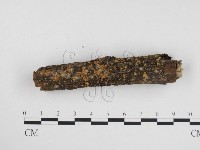 登錄號:F0024189藏品圖，第1張