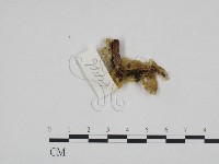 登錄號:F0024192藏品圖，第3張