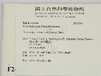 登錄號:F0024193藏品圖，第2張