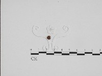 登錄號:F0024193藏品圖，第1張