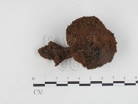 登錄號:F0024194藏品圖，第3張