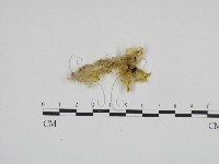 登錄號:F0024198藏品圖，第1張