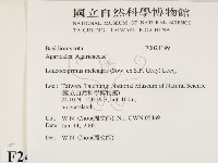 登錄號:F0024199藏品圖，第2張