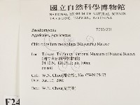 登錄號:F0024201藏品圖，第2張