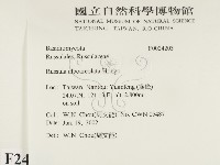 登錄號:F0024203藏品圖，第2張
