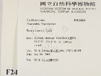 登錄號:F0024204藏品圖，第2張
