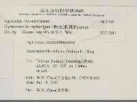登錄號:F0024205藏品圖，第2張