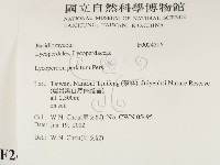 登錄號:F0024206藏品圖，第2張