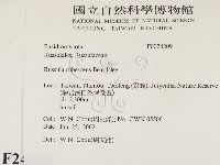 登錄號:F0024209藏品圖，第2張