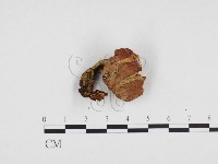 登錄號:F0024209藏品圖，第3張