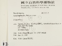 多孔菌屬藏品圖，第2張