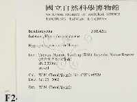 登錄號:F0024215藏品圖，第2張